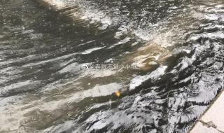 深圳全市进入暴雨防御状态