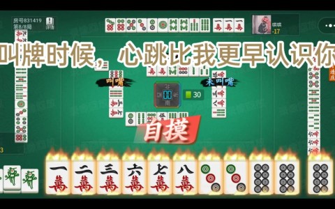 揭秘“贵阳捉鸡麻将开挂怎么搞”附开挂脚本详细