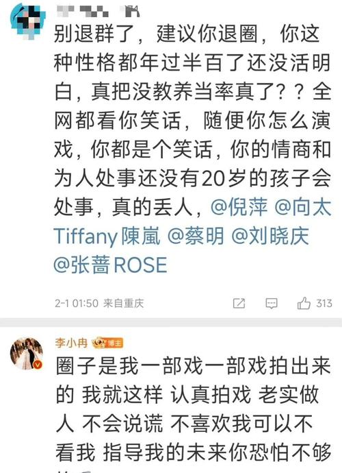 关于李小冉误删何炅微信-的信息